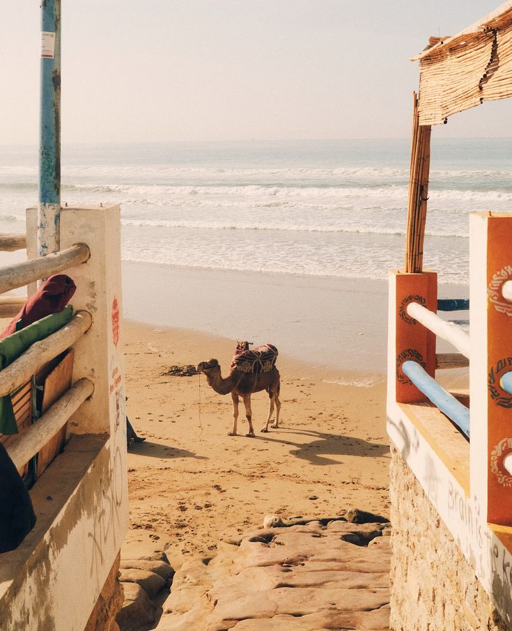 Tamraght, Marrocos